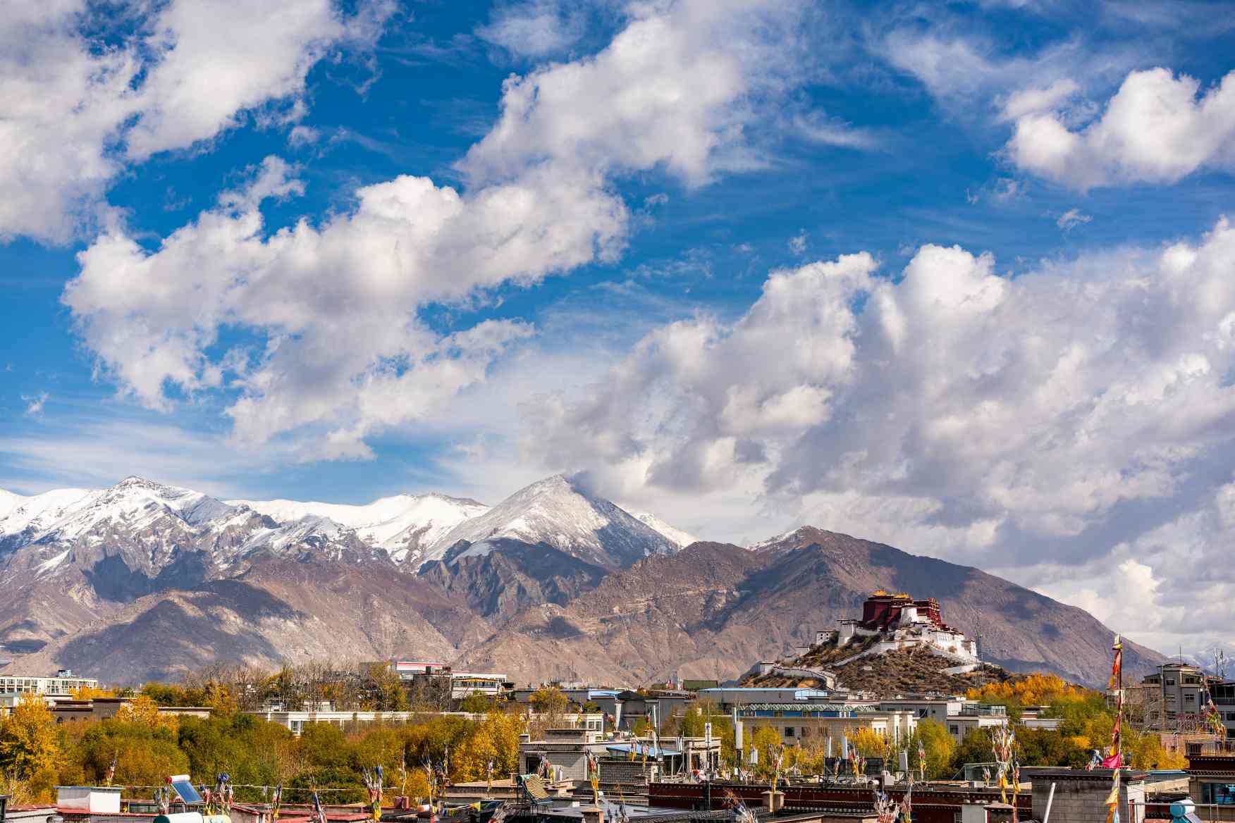 Potala Palace Lhasa Tibet